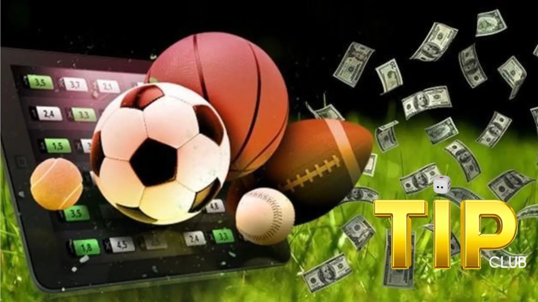 Thể thao Tip club là sân chơi nổi bật hàng đầu Châu Á